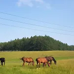 Sakowcowka - , Stajnia *