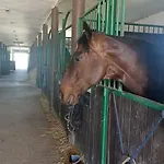 Sakowcowka - , Stajnia *