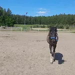 Sakowcowka - , Stajnia * Chwaszczyno