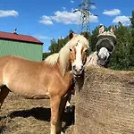 Sakowcowka - , Stajnia *