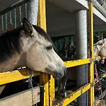 Sakowcowka - , Stajnia Chwaszczyno