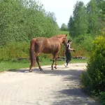 Sakowcowka - , Stajnia B&B