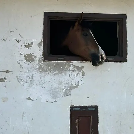 Sakowcowka - , Stajnia Chwaszczyno