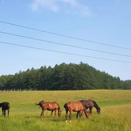 Sakowcowka - , Stajnia *