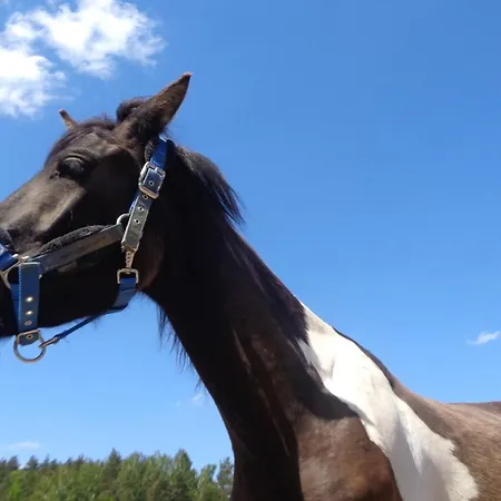 Sakowcowka - , Stajnia