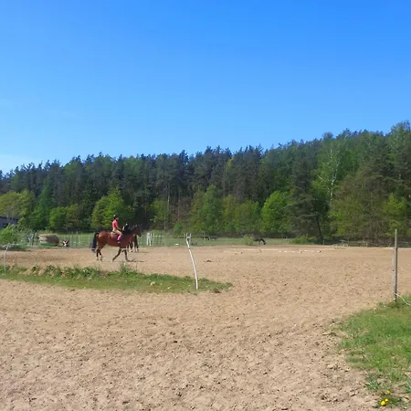 Sakowcowka - , Stajnia Отель типа 