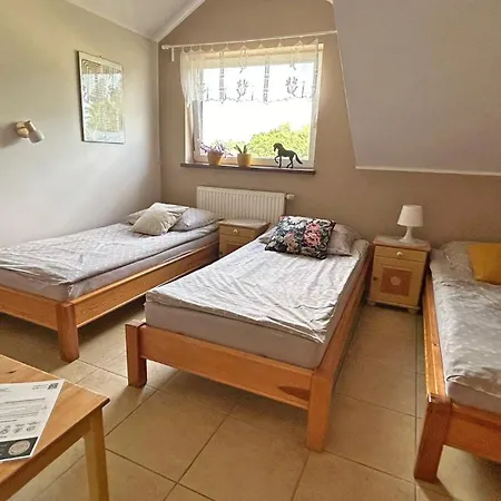 Sakowcowka - , Stajnia Lapino Kartuskie