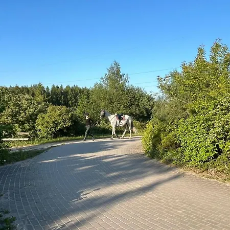 Sakowcowka - , Stajnia * Chwaszczyno