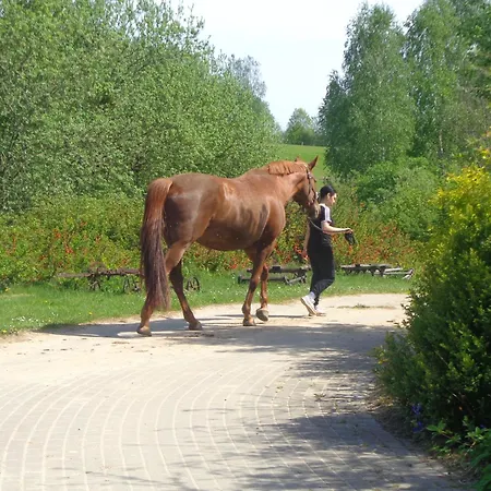 Sakowcowka - , Stajnia Bed & Breakfast