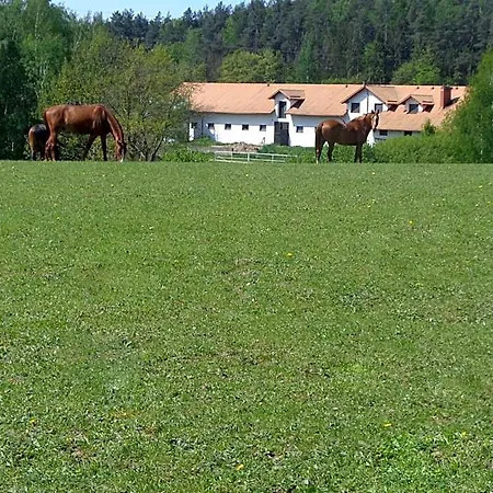 B&B Sakowcowka - , Stajnia *