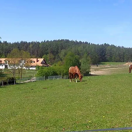 B&B Sakowcowka - , Stajnia