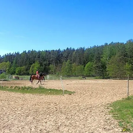 Panzió Sakowcowka - , Stajnia
