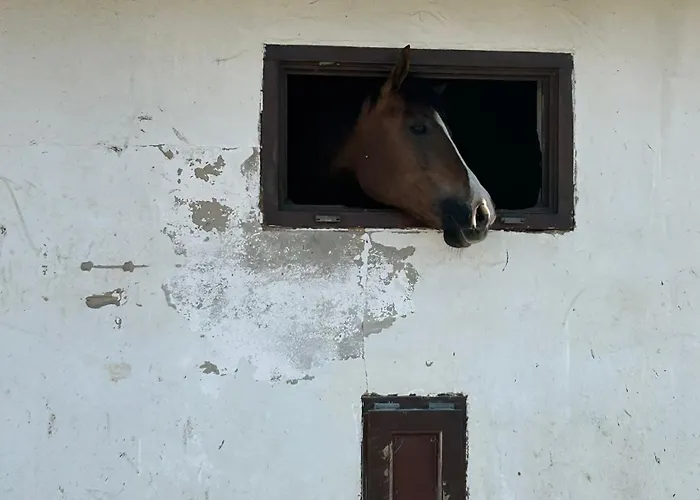 Sakowcowka - , Stajnia Chwaszczyno