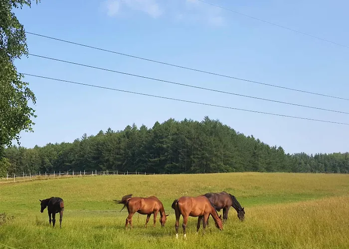 Sakowcowka - , Stajnia *