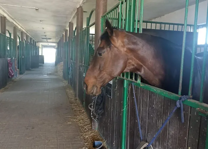 Sakowcowka - , Stajnia *