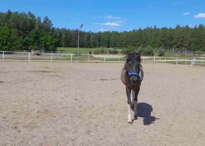 Sakowcowka - , Stajnia * Chwaszczyno