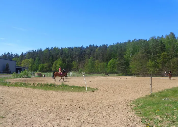 Sakowcowka - , Stajnia Отель типа 