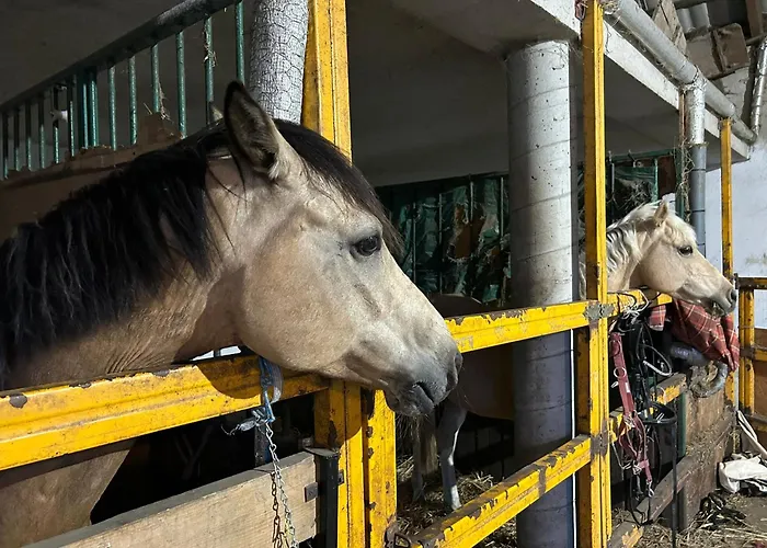 Sakowcowka - , Stajnia Chwaszczyno