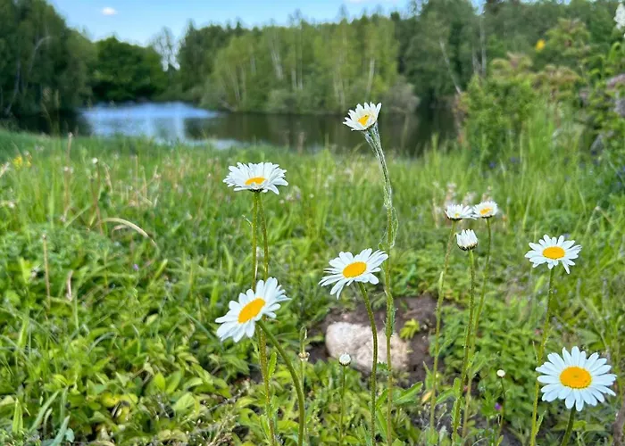 Sakowcowka - , Stajnia Chwaszczyno