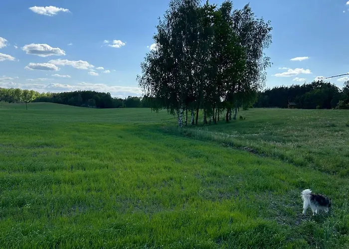 Sakowcowka - , Stajnia Отель типа 