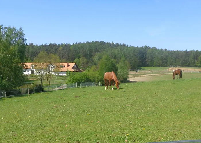 Sakowcowka - , Stajnia *